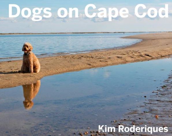 dogsoncapecodbook
