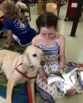 therapy-dogs